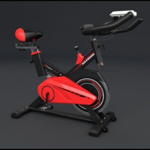 Indoor Cycling Exercise Spin Bike